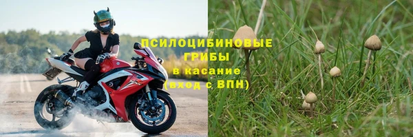 таблы Надым