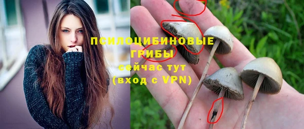 прущая мука Наволоки