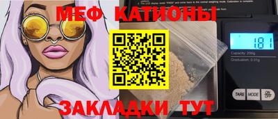 стафф Гатчина