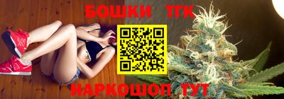 стафф Гатчина