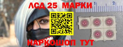 стафф Гатчина