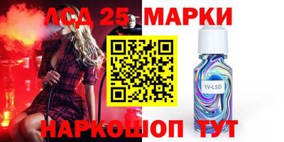 стафф Гатчина