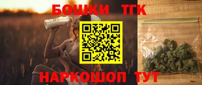 стафф Гатчина