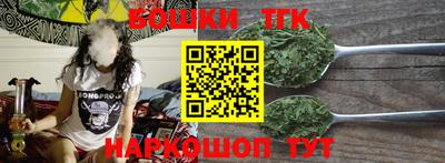 стафф Гатчина