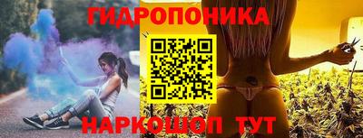 стафф Гатчина