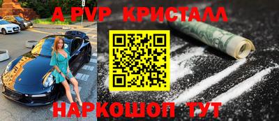 стафф Гатчина