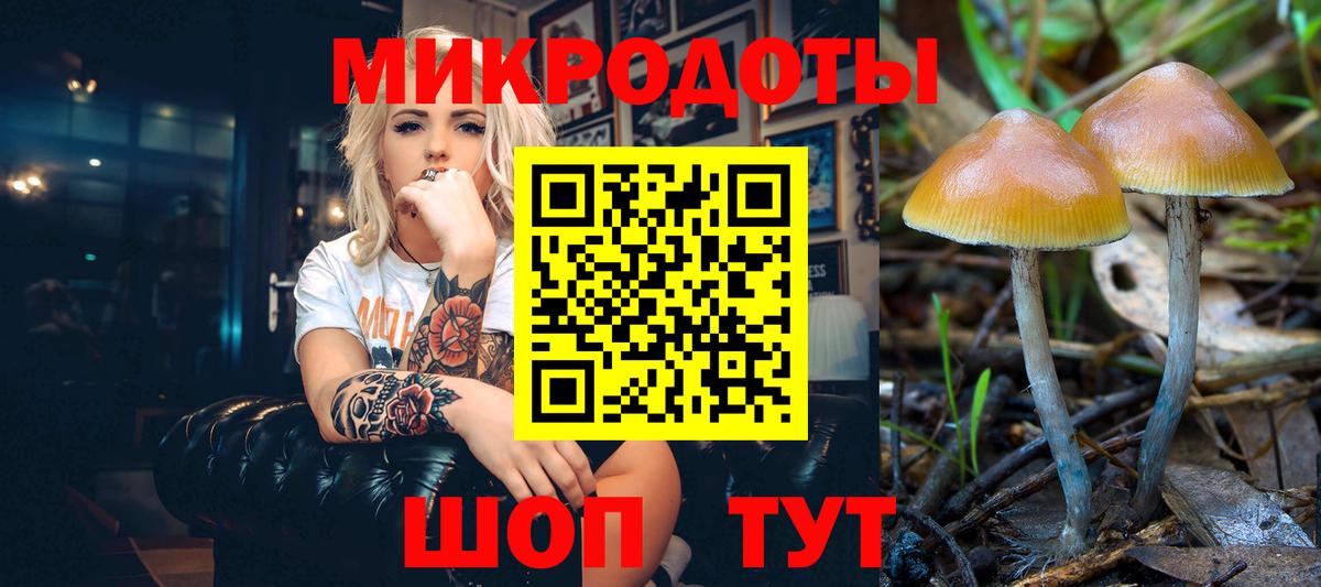 Алушта  Галлюциногенные грибы мухоморы  Псилоцибиновые грибы Psilocybe  Вход с VPN 